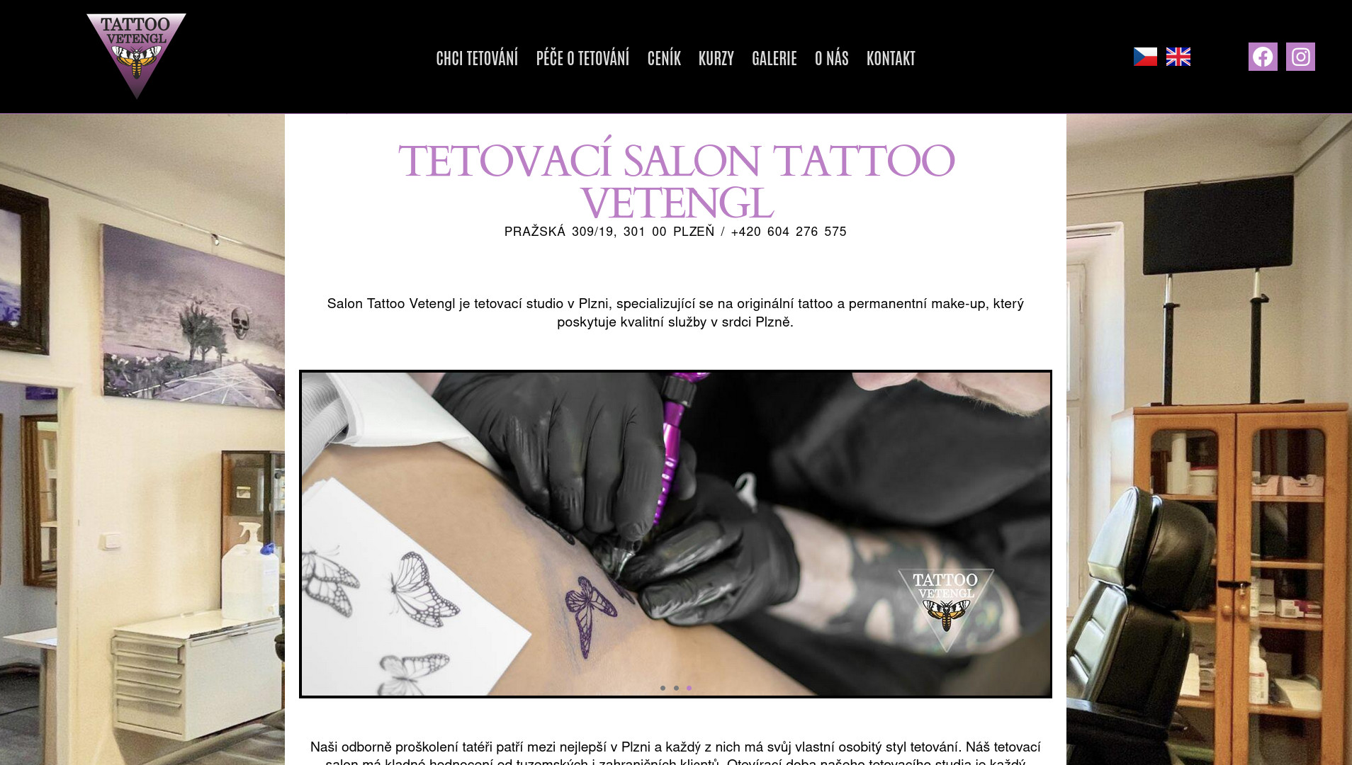 tattoovetengl.com